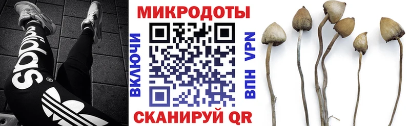 Псилоцибиновые грибы мицелий хочу наркоту Солнечногорск